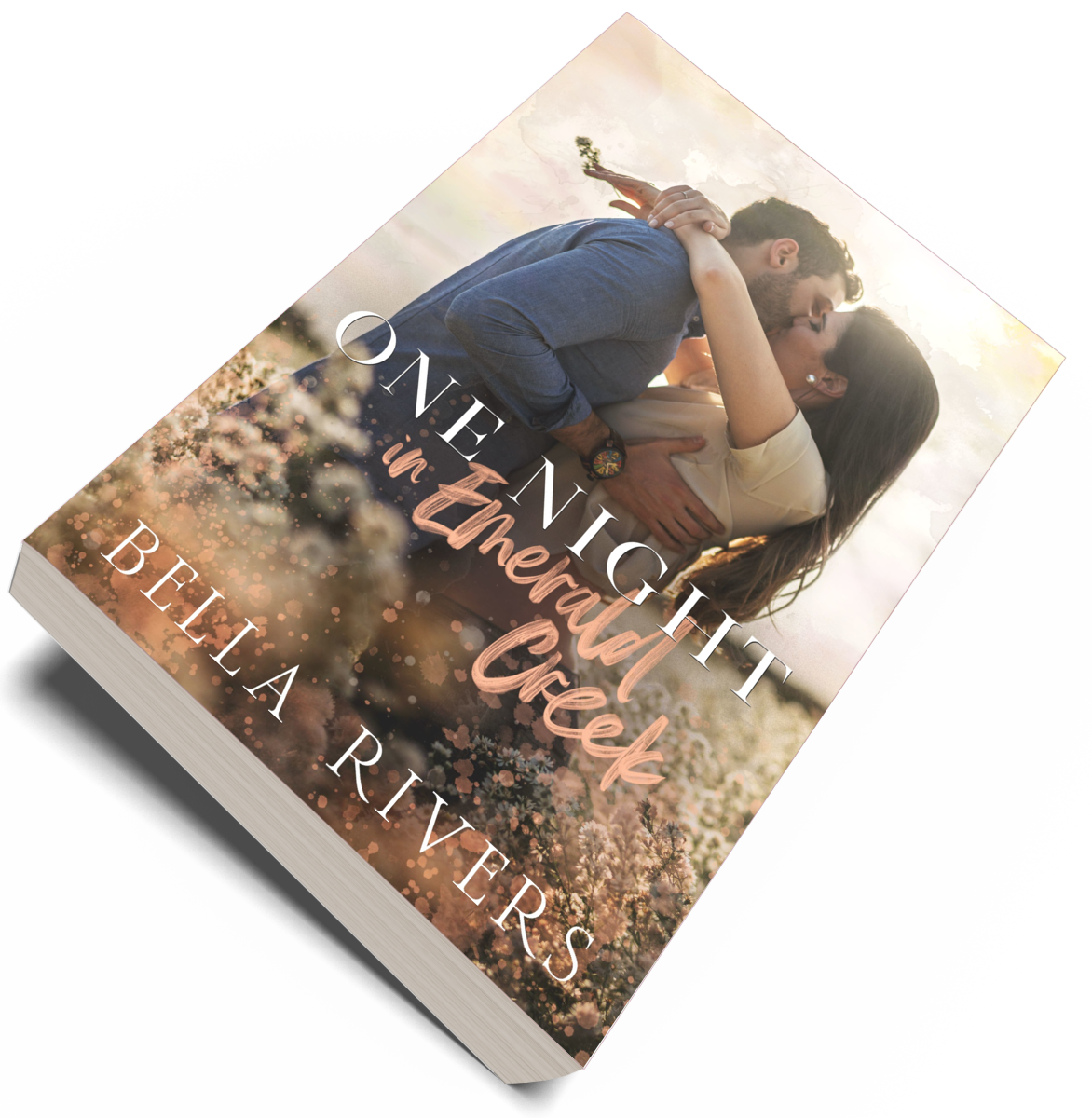 Emerald Creek Intro Novella: One Night In Emerald Creek (Paperback)